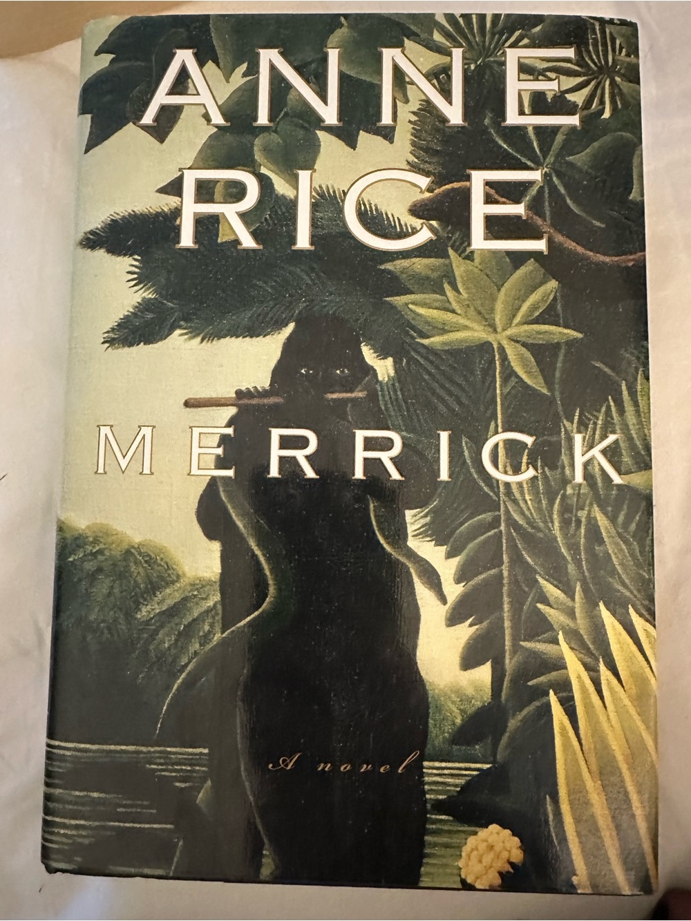 Merrick hard cover book by Anne rice